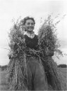 Harvest time