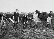 Planting potatoes